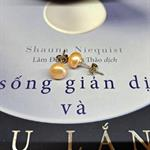 Bông Tai Ngọc Trai CHNT06